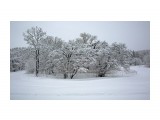 033-1

Просмотров: 1086
Комментариев: 0