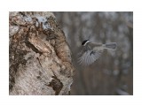 ***
Фотограф: Сергей Буркацкий

Просмотров: 1483
Комментариев: 0