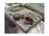 Название: Ужин "по-невельски"
Фотоальбом: Разное
Категория: Разное

Фотокамера: SAMSUNG - SGH-E200B



Просмотров: 5545
Комментариев: 0
