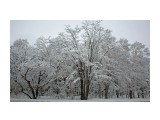 027-к

Просмотров: 560
Комментариев: 0