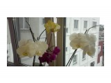 05092011013

Просмотров: 1821
Комментариев: 