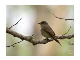 ***
Фотограф: Сергей Букацкий

Просмотров: 1168
Комментариев: 0