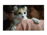 Название: Первый бал)
Фотоальбом: Картинки с выставки.
Категория: Животные

Просмотров: 723
Комментариев: 3
