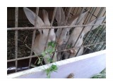 IMG_20160621_200641
