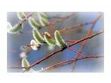 весеннее

Просмотров: 2788
Комментариев: 0