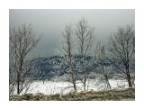 Зима
Фотограф: NIK

Просмотров: 546
Комментариев: 0