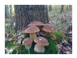 бг

Просмотров: 2599
Комментариев: 2