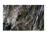 Название: Древнее морское дно
Фотоальбом: Александровск-Сахалинский
Категория: Природа
Описание: Отпечатки раковин

Просмотров: 783
Комментариев: 0