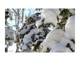 Название: Снег и солнце.
Фотоальбом: Горный воздух
Категория: Разное

Просмотров: 1144
Комментариев: 4
