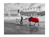 52
Фотограф: VladimirE

Просмотров: 1810
Комментариев: 1