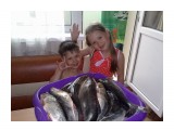 Рыбаки

Просмотров: 765
Комментариев: 