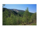 004-к

Просмотров: 482
Комментариев: 0