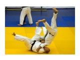 1*

Просмотров: 3251
Комментариев: 0