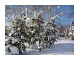 56bc37ce1c1f9f5d4a4f9ced0abe01a4

Просмотров: 624
Комментариев: 0