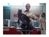DSC01279

Просмотров: 488
Комментариев: 