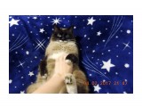 DSCN6568

Просмотров: 758
Комментариев: 