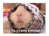 Холодат :)))

Просмотров: 898
Комментариев: 0