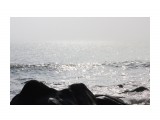 Море в тумане
Фотограф: vikirin

Просмотров: 2806
Комментариев: 0