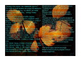 Почему эта осень так навеяла грусть
Фотограф: alexei1903

Просмотров: 2999
Комментариев: 0