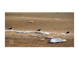 ***
Фотограф: Сергей Буркацкий

Просмотров: 1523
Комментариев: 0