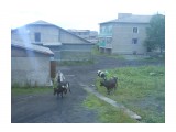 DSCN0497

Просмотров: 3630
Комментариев: 