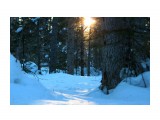 В лесу на закате.. зимнее солнце..
Фотограф: vikirin

Просмотров: 3031
Комментариев: 0