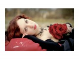 розы

Просмотров: 3482
Комментариев: 2