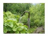 "тухлая вода" на открытых

Просмотров: 6008
Комментариев: 0