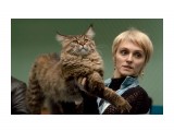 Название: IMG_2352
Фотоальбом: Картинки с выставки. Осенний блюз 2012.
Категория: Животные

Время съемки/редактирования: 2012-11-17T22:15:13+11:00
Фотокамера: Canon - Canon EOS 50D
Диафрагма: f/4.5
Выдержка: 1/200
Фокусное расстояние: 88/1



Просмотров: 688
Комментариев: 0
