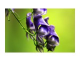 борец

Просмотров: 3456
Комментариев: 0
