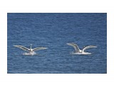***
Фотограф: Сергей Буркацкий

Просмотров: 1122
Комментариев: 0