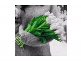 Название: Скоро весна...
Фотоальбом: Цветы. Удивительное всегда рядом
Категория: Цветы

Просмотров: 2763
Комментариев: 0