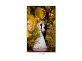 Wedding
Фотограф: Артур Петросян

Просмотров: 1755
Комментариев: 0