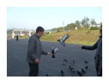 S7302107

Просмотров: 1027
Комментариев: 0