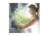 35

Просмотров: 4101
Комментариев: 1