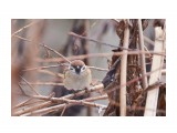 Самый страшный птиц  в лесу )))
Фотограф: VictorV

Просмотров: 474
Комментариев: 0