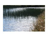 Озерцо в тундре..
Фотограф: vikirin

Просмотров: 2658
Комментариев: 0