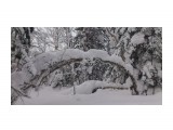 Зима на перевале..
Фотограф: vikirin

Просмотров: 1416
Комментариев: 0