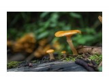 :)
Фотограф: Tsygankov Yuriy

Просмотров: 671
Комментариев: 0