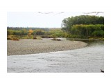 640
Фотограф: 11m

Просмотров: 871
Комментариев: 0