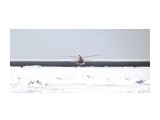 Название: высадка с вертолёта
Фотоальбом: спасение рыбаков 9 марта
Категория: Разное

Просмотров: 2092
Комментариев: 1