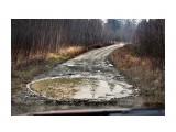 Дороги подмерзали
Фотограф: vikirin

Просмотров: 1532
Комментариев: 0