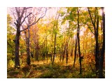 осень

Просмотров: 1525
Комментариев: 0
