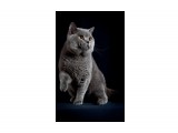 Название: 8
Фотоальбом: ICH Jack Blue Vernissage
Категория: Животные

Время съемки/редактирования: 2010:04:28 01:00:18
Фотокамера: Canon - Canon EOS 5D Mark II
Диафрагма: f/9.0
Выдержка: 1/200
Фокусное расстояние: 75/1
Светочуствительность: 100


Просмотров: 670
Комментариев: 0