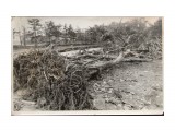 Название: SWScan0000100034
Фотоальбом: Филлис
Категория: Разное

Просмотров: 398
Комментариев: 0