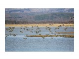оз.Лебяжье 2

Просмотров: 1648
Комментариев: 0