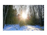 ***

Просмотров: 2811
Комментариев: 0