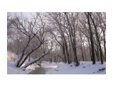 зима 2015г.

Просмотров: 2799
Комментариев: 0