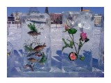 Хабаровск.ледяные фигуры

Просмотров: 6878
Комментариев: 1
