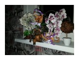 IMG_20180218_204902